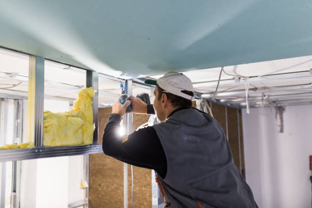 Best Specialty Insulation in Plentywood, MT