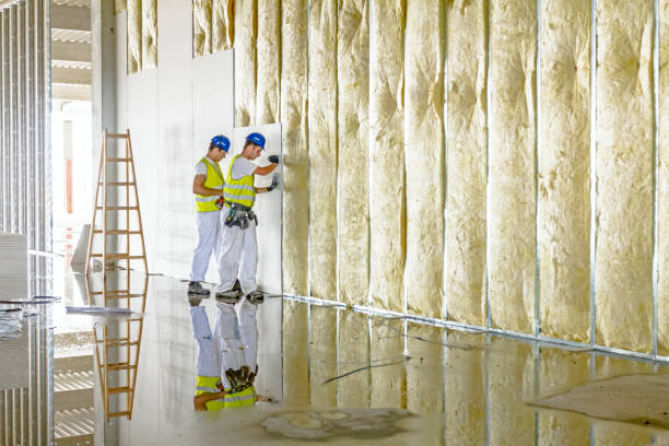 Types of Insulation We Offer in MT